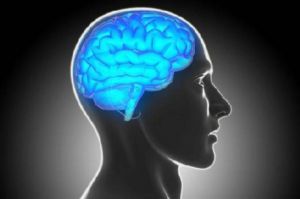 O implante registra a atividade cerebral de uma área do cérebro associada à produção da fala